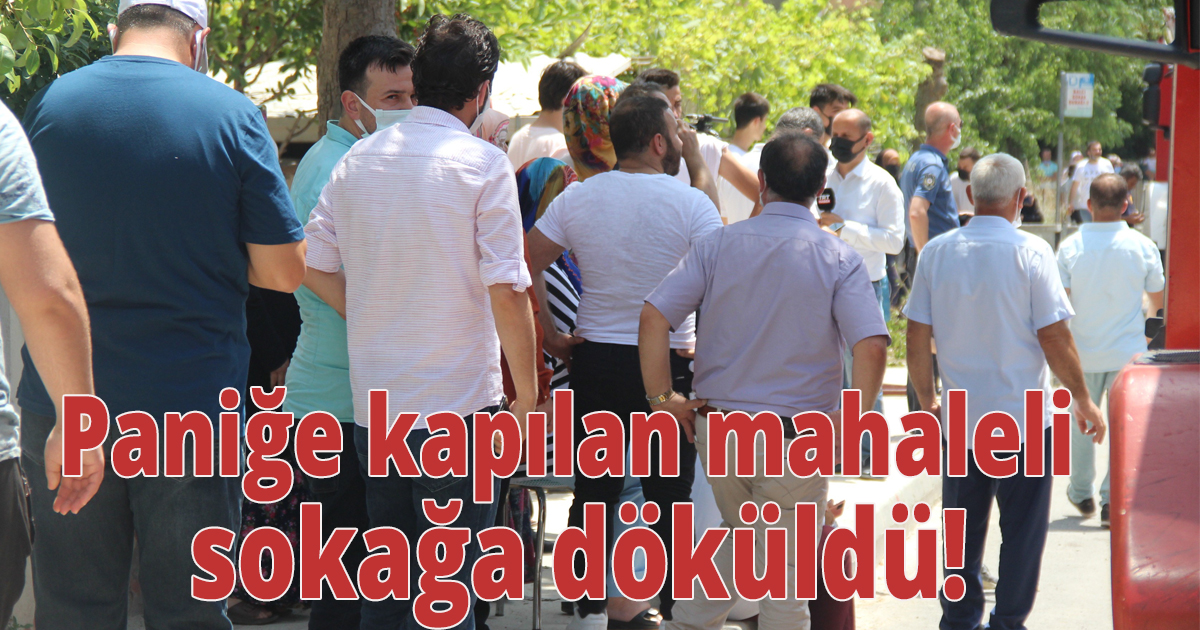 Paniğe kapılan mahalleli sokağa döküldü!