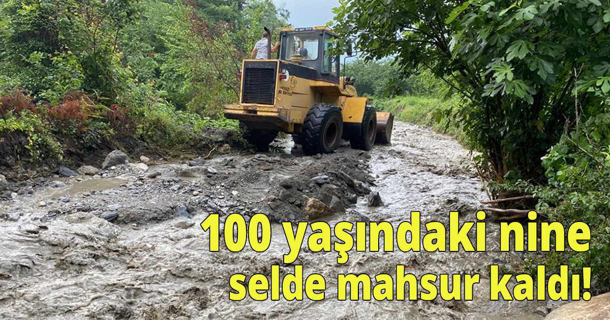 100 yaşındaki nine selde mahsur kaldı!