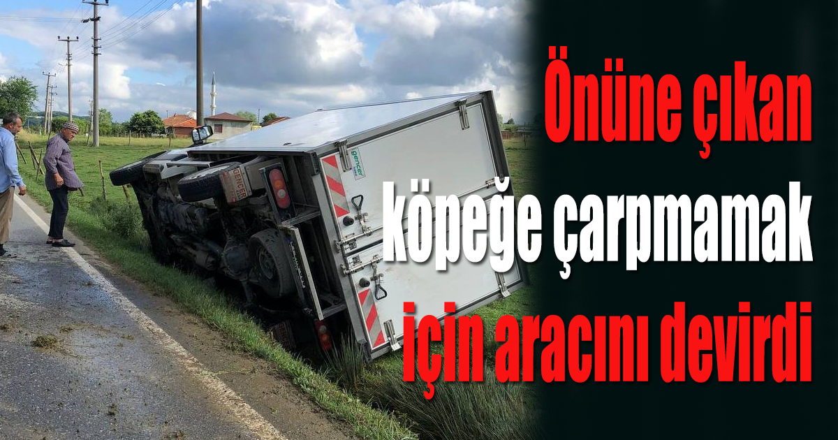 Köpeğe çarpmamak isterken kamyoneti devirdi