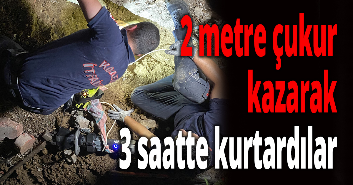  Enkaz altından insan çıkarır gibi kedi kurtarma operasyonu