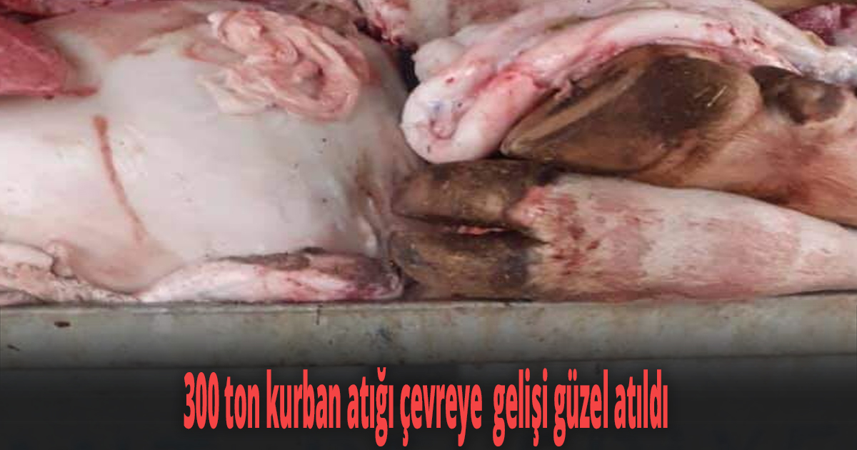 Tüm uyarılara rağmen kurban atıkları yine sokaklardan toplandı