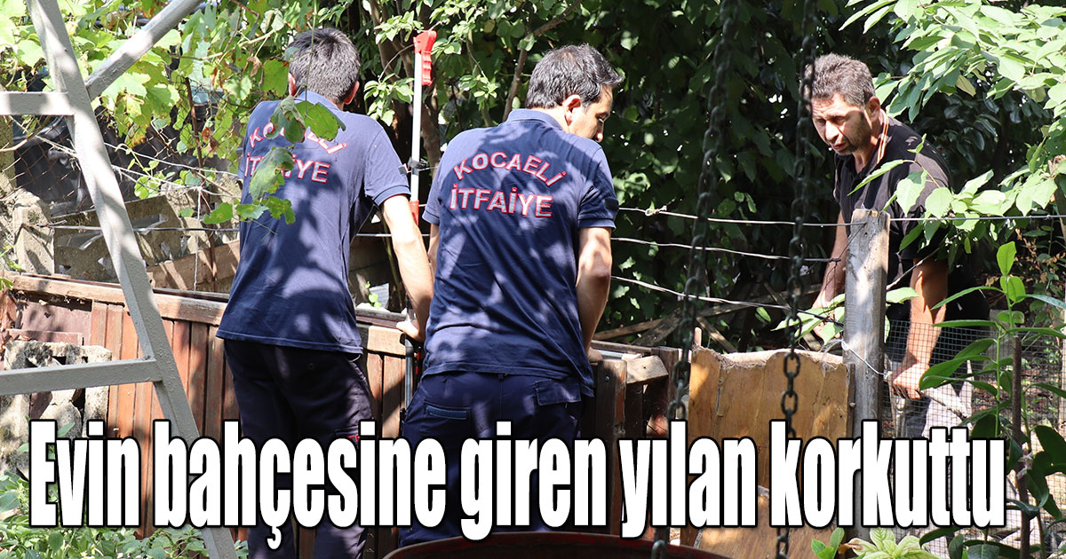 Evin bahçesine giren yılan korkuttu
