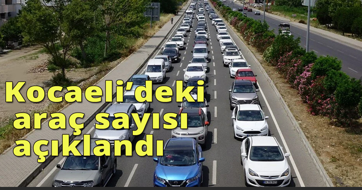 Kocaelide ki araç sayısı açıklandı