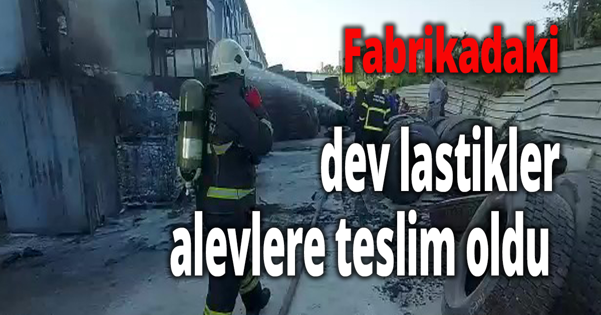 Fabrikadaki dev lastikler alevlere teslim oldu