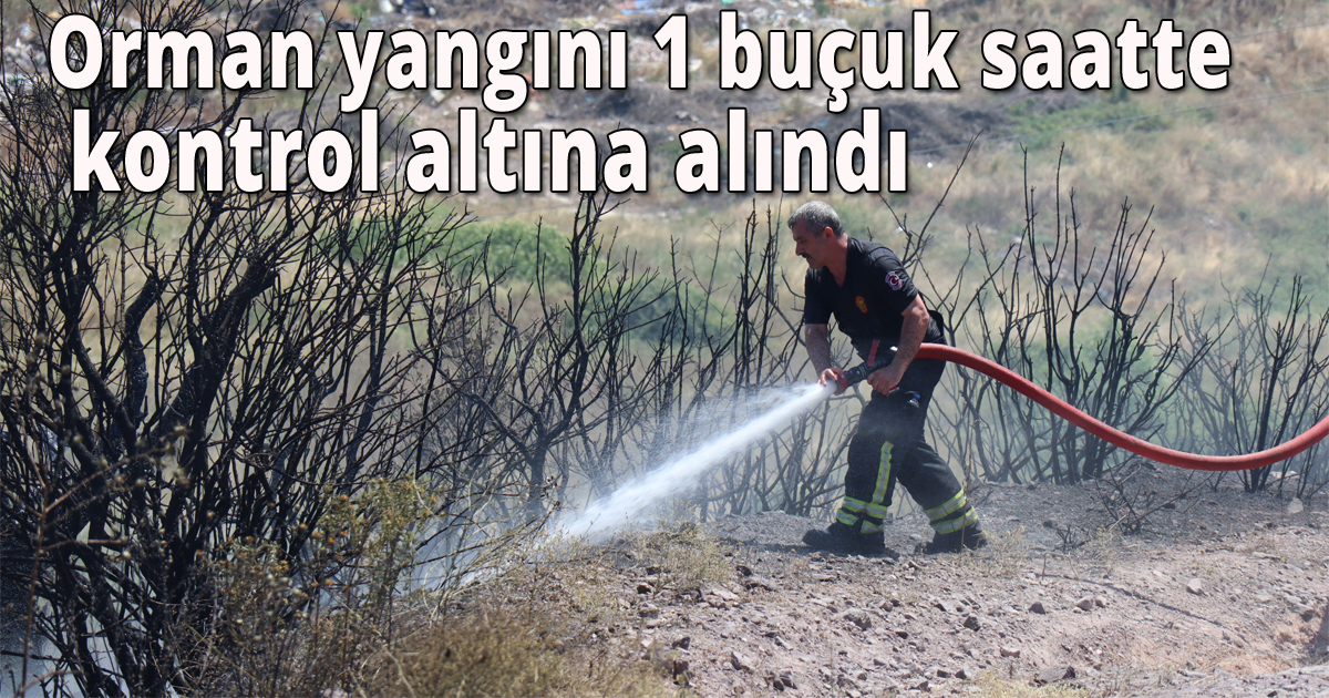 Kocaeli’deki orman yangını 1 buçuk saatte kontrol altına alındı