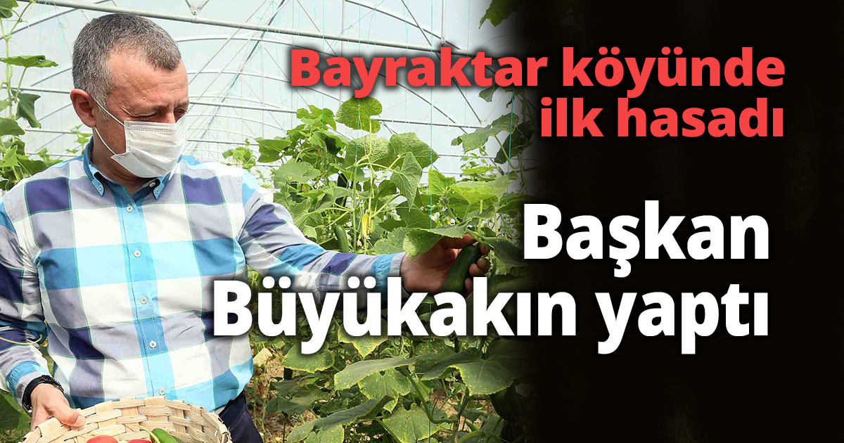 Bayraktar köyünde ilk hasadı, Başkan Büyükakın yaptı