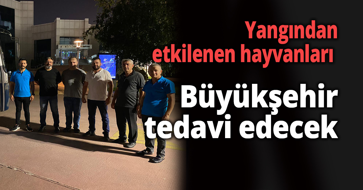 Yangından etkilenen hayvanları Büyükşehir tedavi edecek