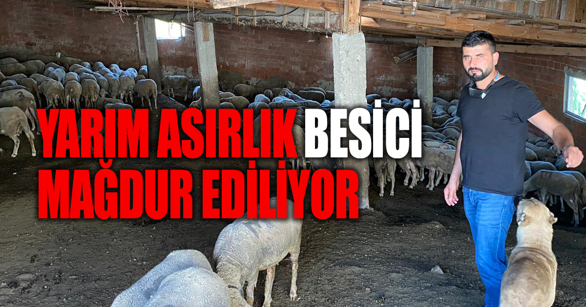 YARIM ASIRLIK BESİCİ, MAĞDUR EDİLİYOR