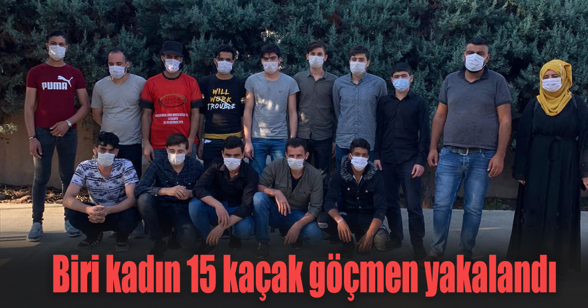 15 kaçak göçmen yakalandı