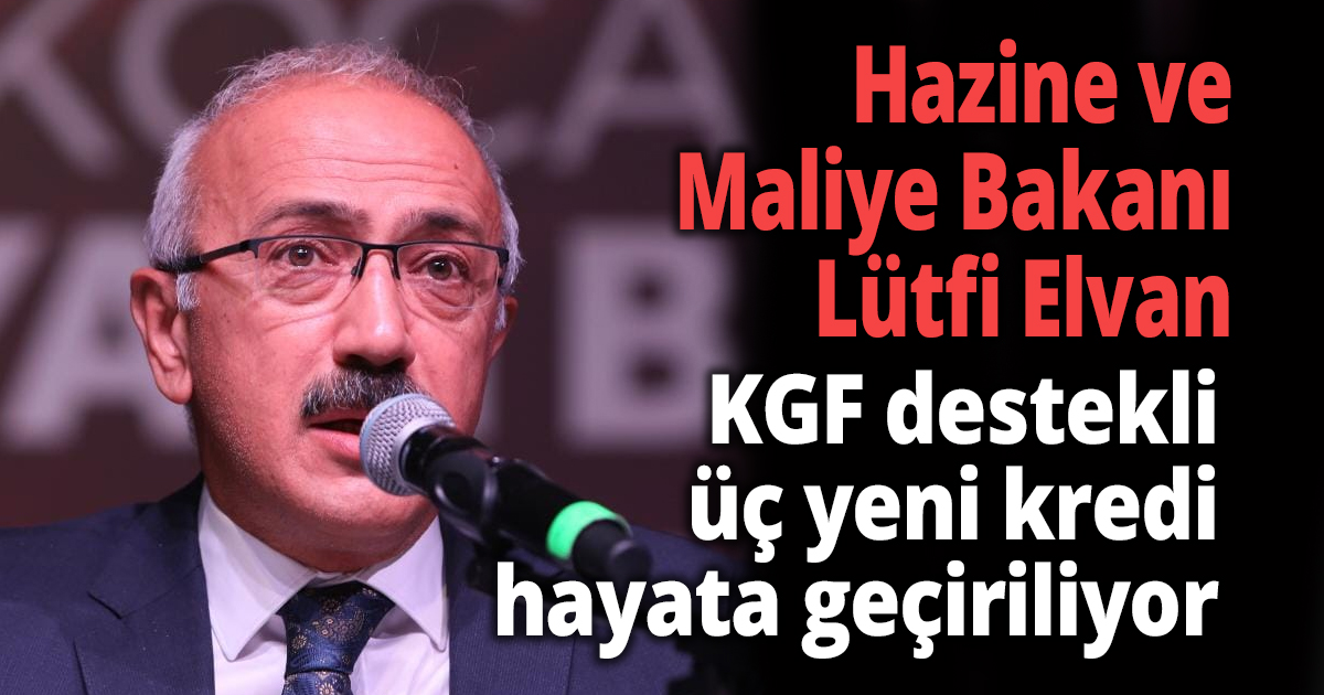 Elvan 'Yüzde 8'in üzerinde büyümeyi hedefliyoruz