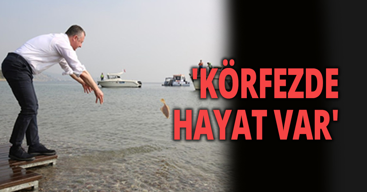 'KÖRFEZDE HAYAT VAR'