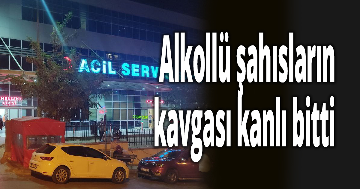 Alkollü şahısların kavgası kanlı bitti