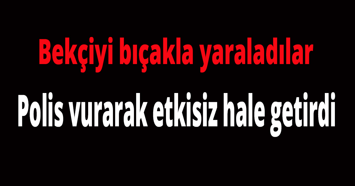 Bekçiyi bıçakla yaraladılar