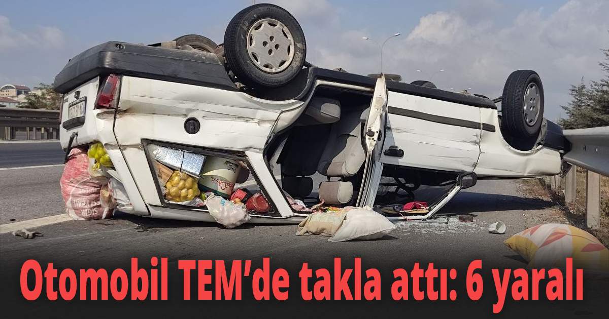 Otomobil TEM’de takla attı
