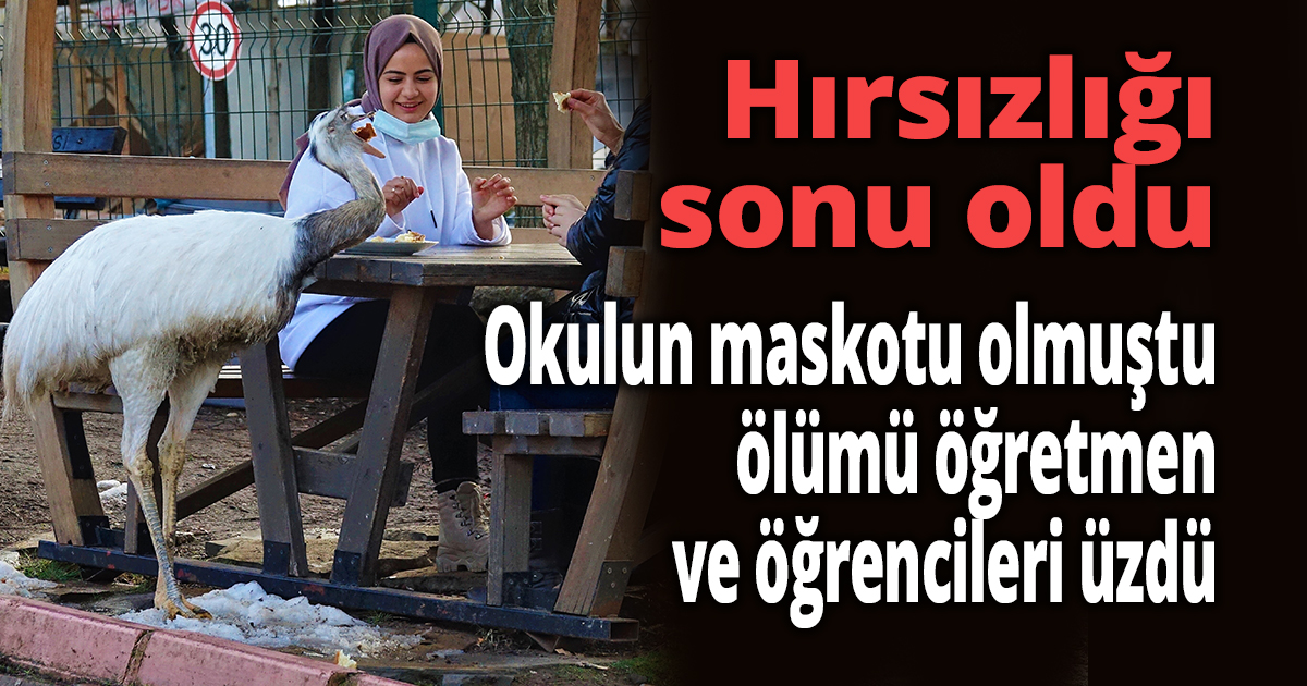 Hırsızlığı sonu oldu