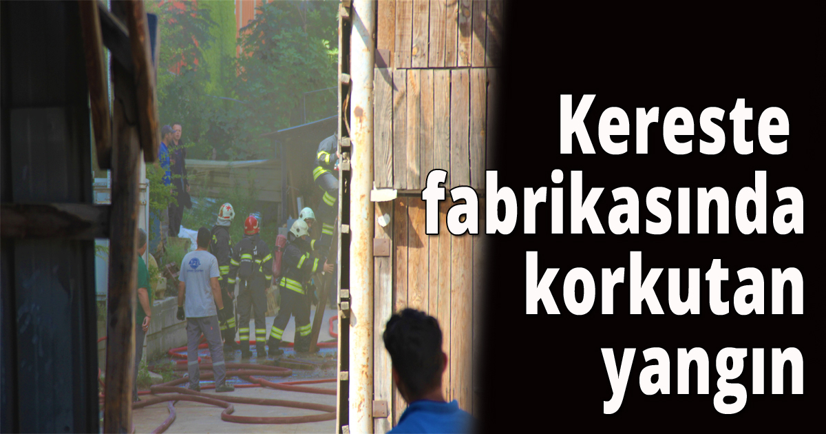 Kereste fabrikasında korkutan yangın