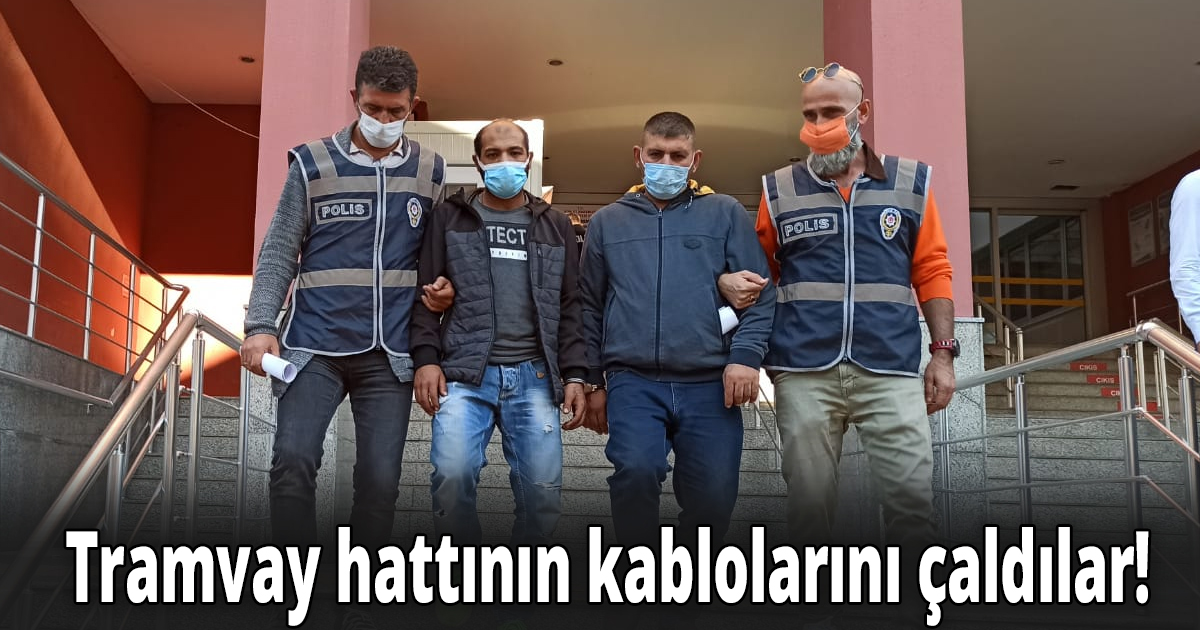 Tramvay hattının kablolarını çaldılar!
