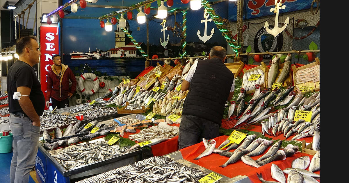 Balık fiyatları ne zaman düşecek?