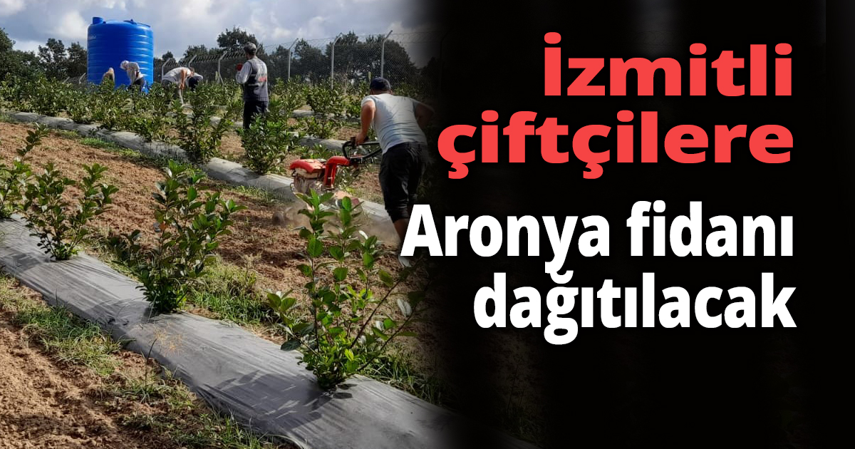  İzmitli çiftçilere aronya fidanı dağıtılacak