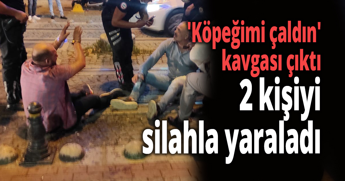 'Köpeğimi çaldın' kavgası çıktı
