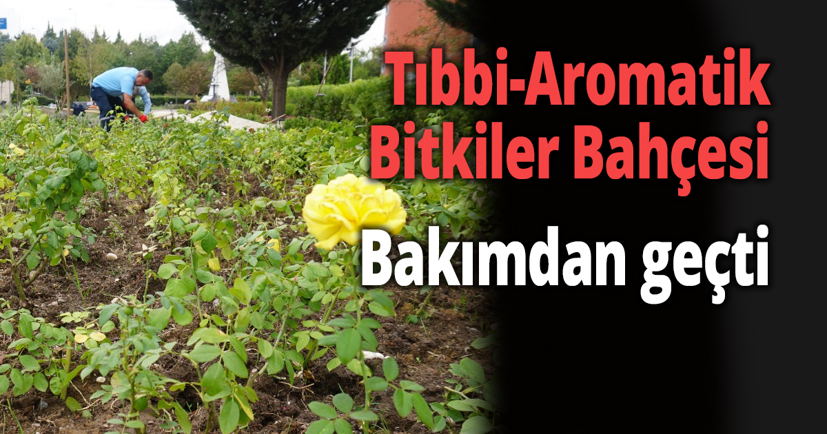 Tıbbi-Aromatik Bitkiler Bahçesi bakımdan geçti