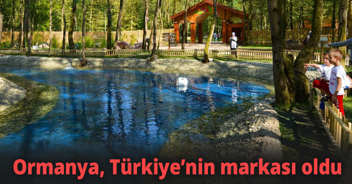 Ormanya, Türkiye’nin markası oldu