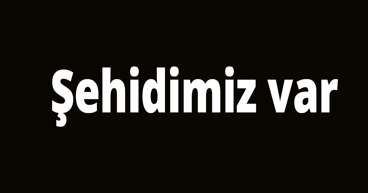Şehidimiz var