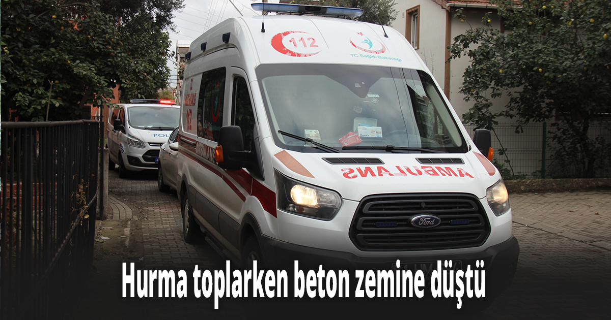 Hurma toplarken beton zemine düştü