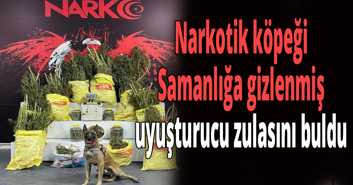 Samanlığa gizlenmiş uyuşturucu zulası ortaya çıktı