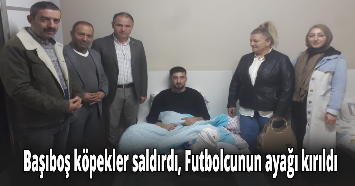 Başıboş köpekler saldırdı