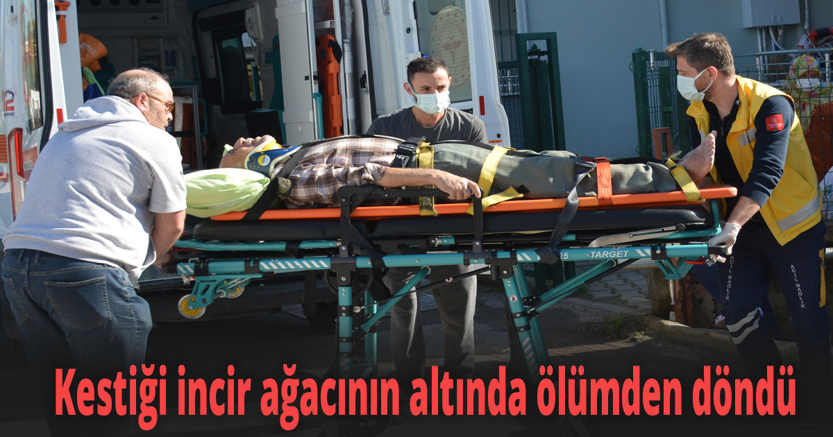 Kestiği incir ağacının altında ölümden döndü