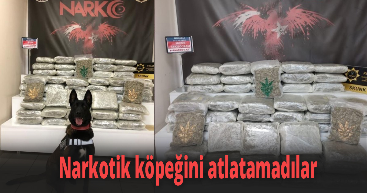 Narkotik köpeğini atlatamadılar
