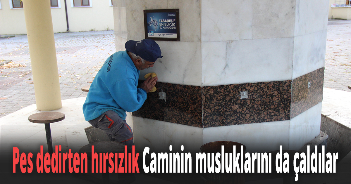 Pes dedirten hırsızlık