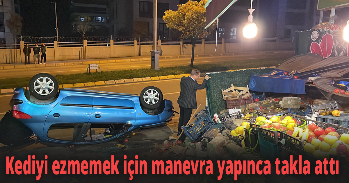 Kediyi ezmemek için manevra yapınca takla attı