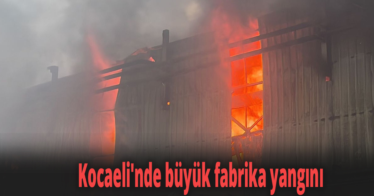 Kocaeli'nde büyük fabrika yangını
