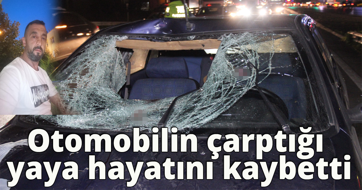 Otomobilin çarptığı yaya hayatını kaybetti