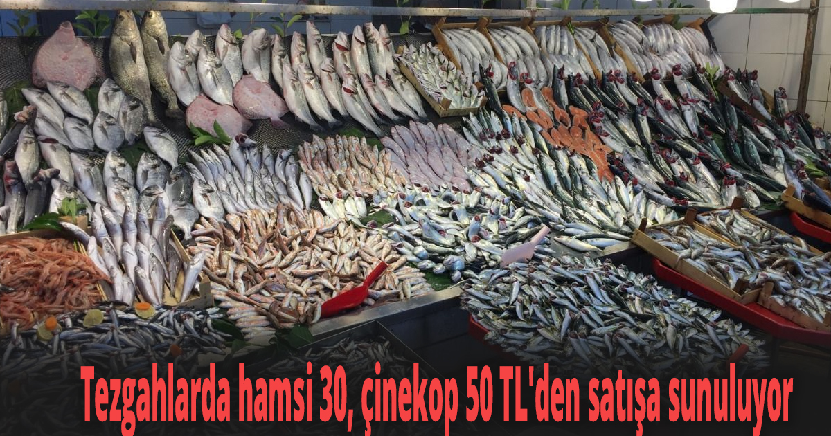 Tezgahlarda hamsi 30, çinekop 50 TL'den satışa sunuluyor