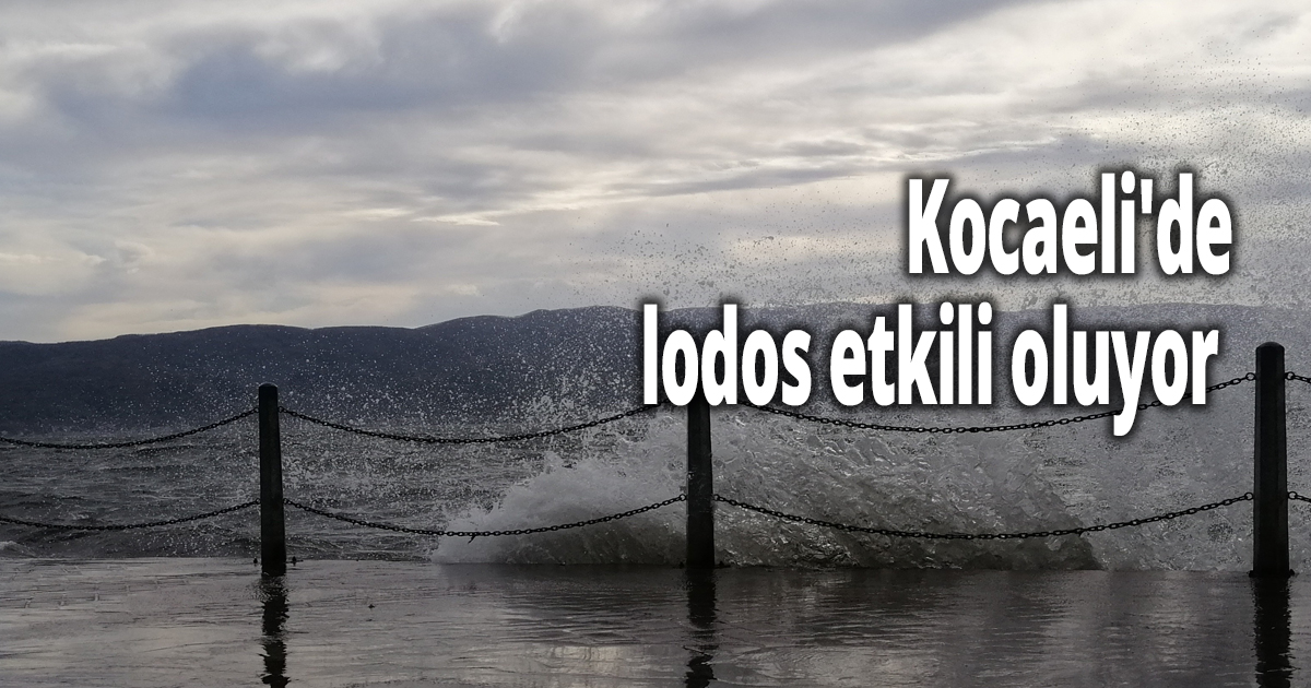 Kocaeli'de lodos etkili oluyor