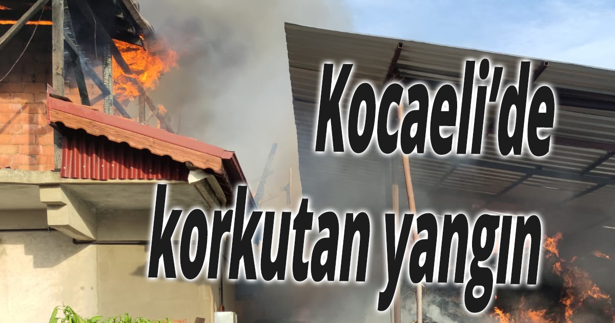 Kocaeli’de korkutan yangın