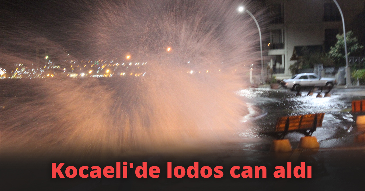 Kocaeli'de lodos can aldı