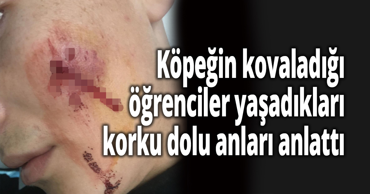 Köpeğin kovaladığı öğrenciler yaşadıkları korku dolu anları anlattı