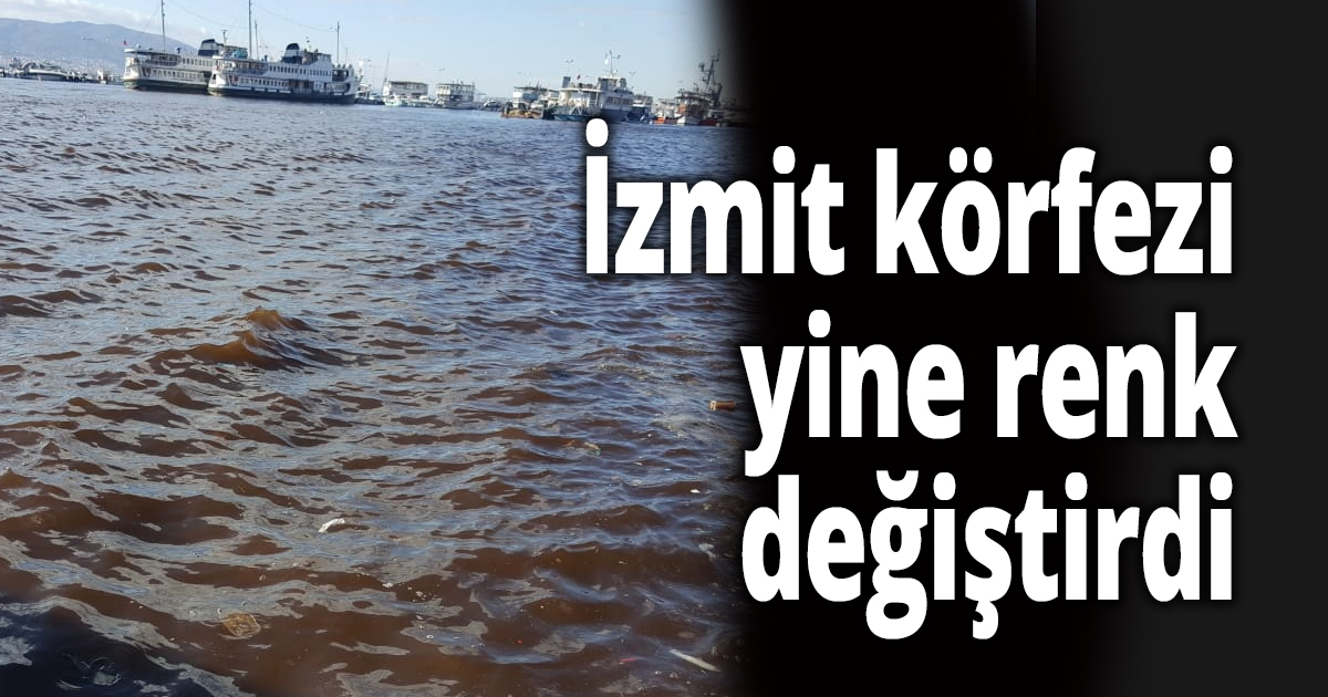 İzmit körfezi renk değiştirdi