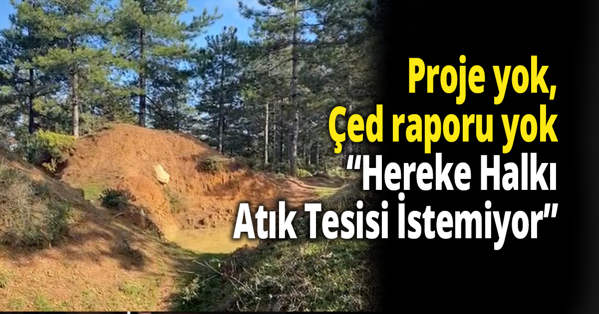 Tarhan, Proje yok, Çed raporu yok ama