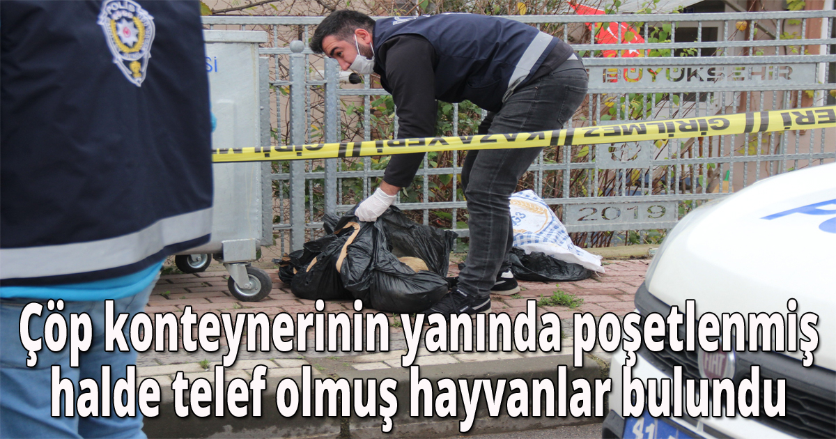  Çöp konteynerinin yanında poşetlenmiş halde telef olmuş hayvanlar bulundu