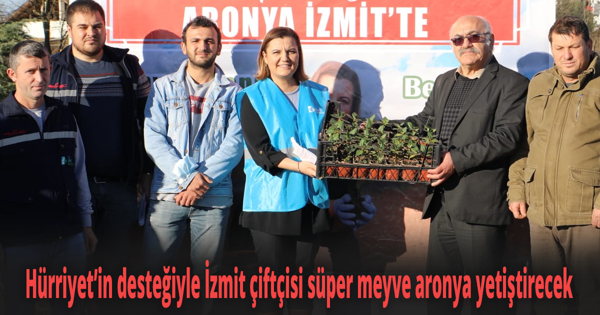 Hürriyet’in desteğiyle İzmit çiftçisi süper meyve aronya yetiştirecek