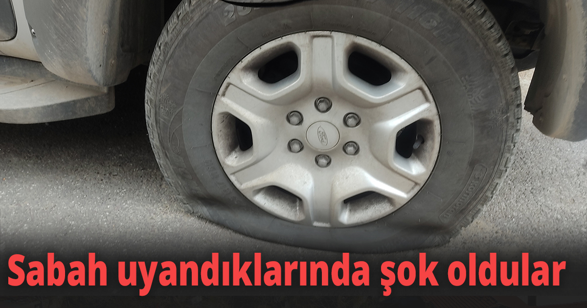 Sabah uyandıklarında şok oldular