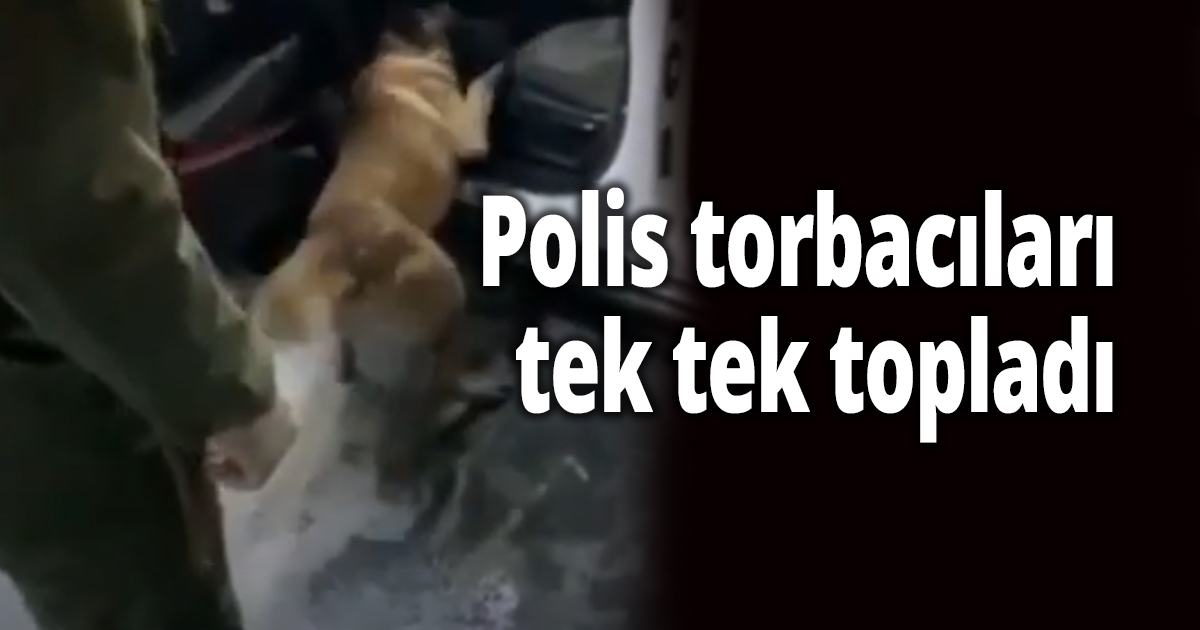 Uyuşturucu operasyonu 5 gözaltı