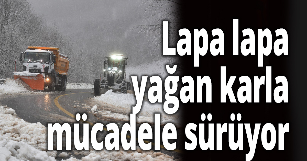 Lapa lapa yağan karla mücadele sürüyor