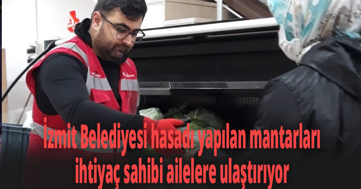 İzmit Belediyesi hasadı yapılan mantarları ihtiyaç sahibi ailelere ulaştırıyor