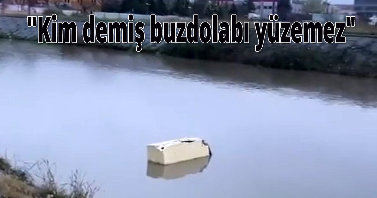 Dereye atılan buzdolabı görenleri şaşkına çevirdi
